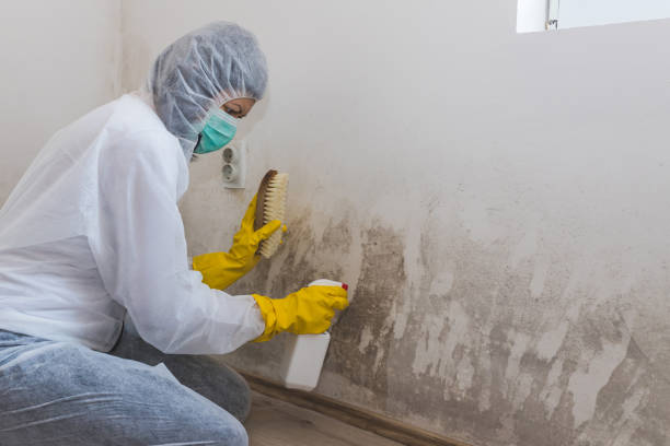 Best Real Estate Mold Inspection  in Leon, IA